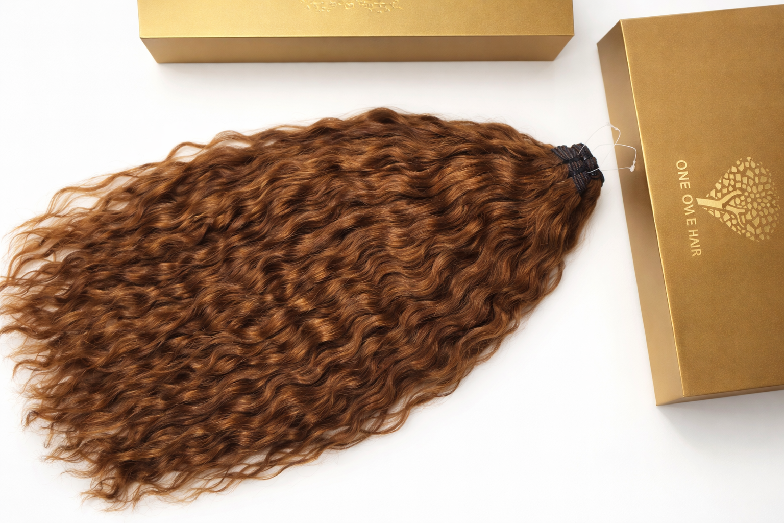 Premium Remy Honey Blonde Hair Extensions • Buy Now Pay Later